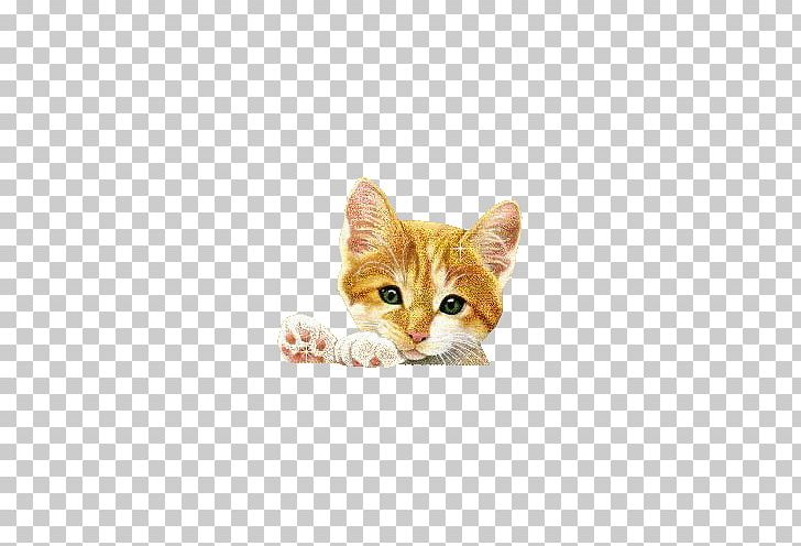 Gfycat Animation PNG, Clipart, Animal, Animals, Animation, Blingee, Blog Free PNG Download