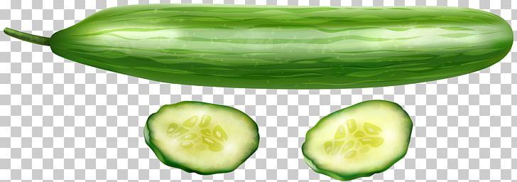 Pickled Cucumber Vegetable PNG, Clipart, Clip Art, Cucumber, Cucumber Gourd And Melon Family, Cucumber Juice, Cucumbers Free PNG Download