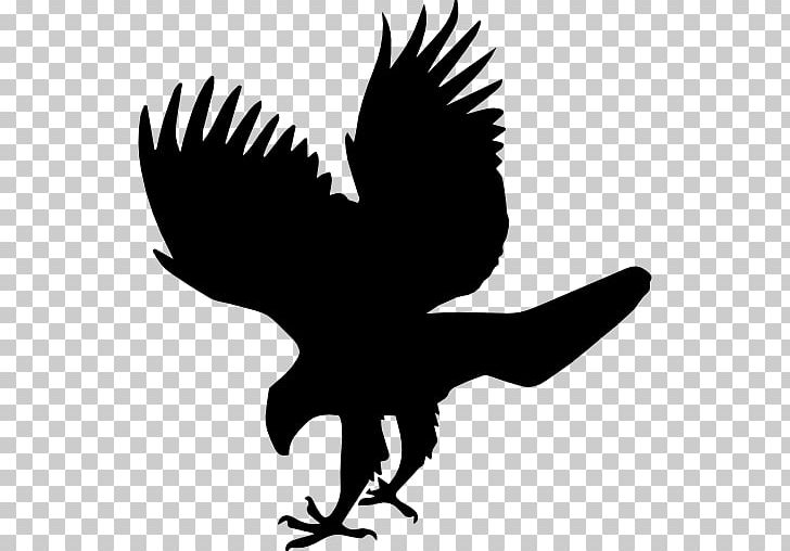 Bird Hawk Computer Icons Eagle PNG, Clipart, Animal, Animals, Beak, Bird, Bird Of Prey Free PNG Download