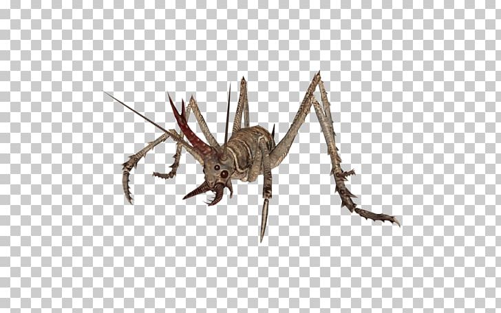 Fallout 4: Nuka-World Fallout: New Vegas Insect Fallout 3 Cave Crickets PNG, Clipart, Animals, Antenna, Arthropod, Cave, Cave Crickets Free PNG Download