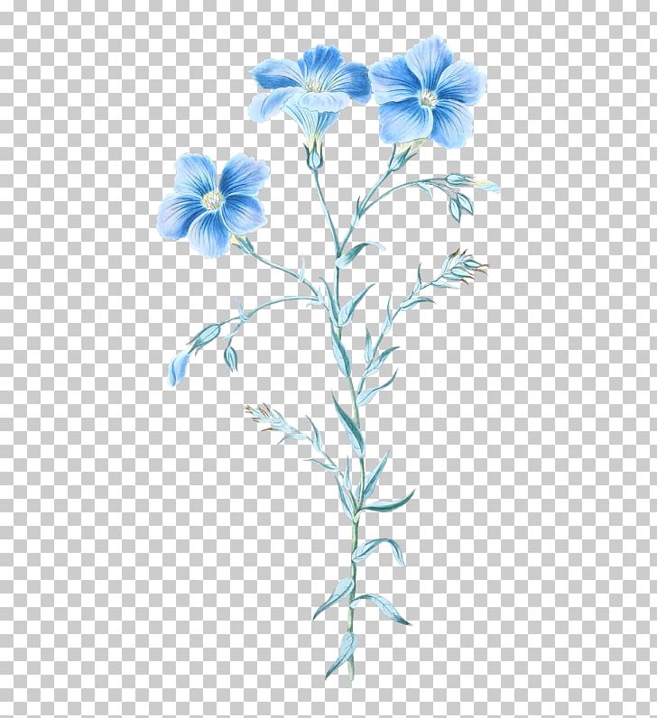 Floral Design Floral Illustrations PNG, Clipart, Blue, Botanical Illustration, Branch, Chicory, Cut Flowers Free PNG Download