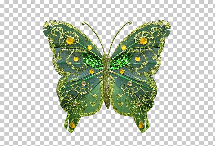 Monarch Butterfly Pieridae Moth Bird PNG, Clipart, Animal, Bird, Biscuits, Brush Footed Butterfly, Butterflies And Moths Free PNG Download