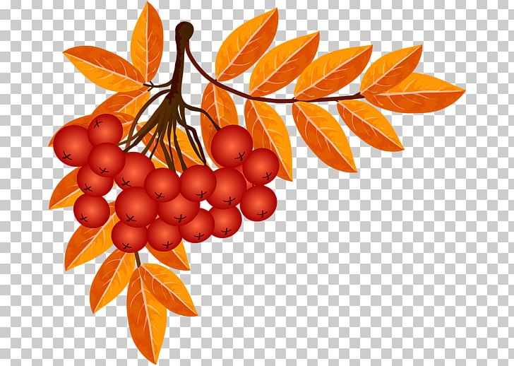 Autumn Season Play PNG, Clipart, Autumn, Autumn Leaves, Child, Food, Fruit Free PNG Download