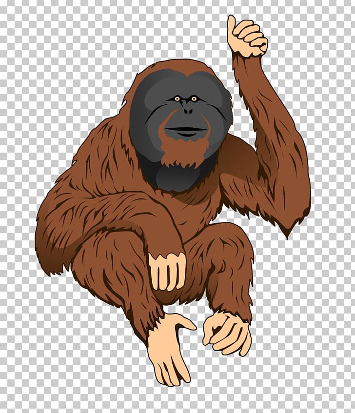 Bornean Orangutan Sumatran Orangutan Ape PNG, Clipart, Ape, Art, Bornean Orangutan, Carnivoran, Cartoon Free PNG Download