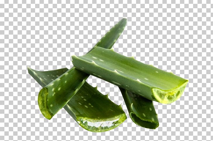 Cucumber PNG, Clipart, Aloe, Cucumber, Ingredient, Vegetable Free PNG Download