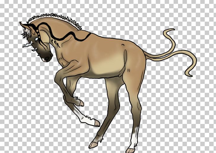 Mane Mustang Foal Stallion Colt PNG, Clipart, Arm, Carnivoran, Cat Like Mammal, Cavy, Fauna Free PNG Download