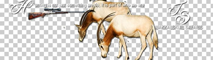 Mustang Bridle Rein News Pack Animal PNG, Clipart, 2018, 2019 Ford Mustang, Animal Figure, Bridle, Ford Mustang Free PNG Download