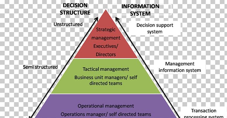 Management Information System Transaction Processing System Decision Support System PNG, Clipart, Angle, Area, Brand, Business, Cone Free PNG Download