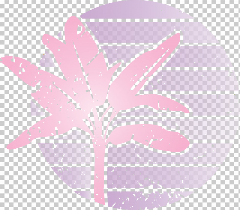 Summer Palm PNG, Clipart, Biology, Leaf, Meter, Mtree, Pink M Free PNG Download