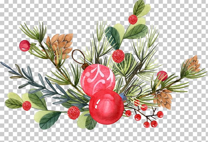 Christmas Ornament Christmas Tree PNG, Clipart, Branch, Cartoon, Christmas, Christmas Ornament, Christmas Tree Free PNG Download