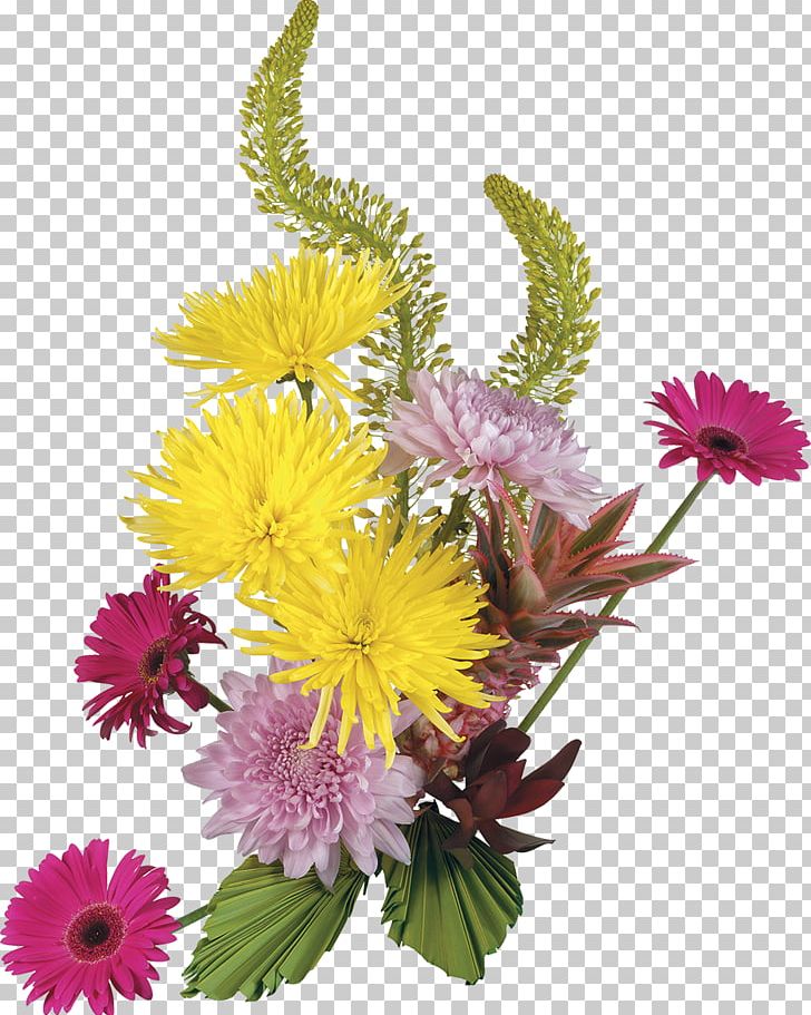 Flower Painting Blog PNG, Clipart, Annual Plant, Art, Aster, Blog, Chrysanthemum Free PNG Download
