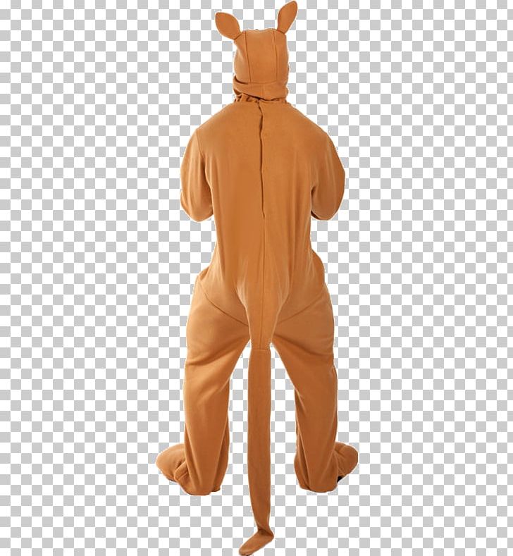 Macropodidae Costume Kangaroo Suit Bra PNG, Clipart, Animals, Bra, Costume, House, Kangaroo Free PNG Download