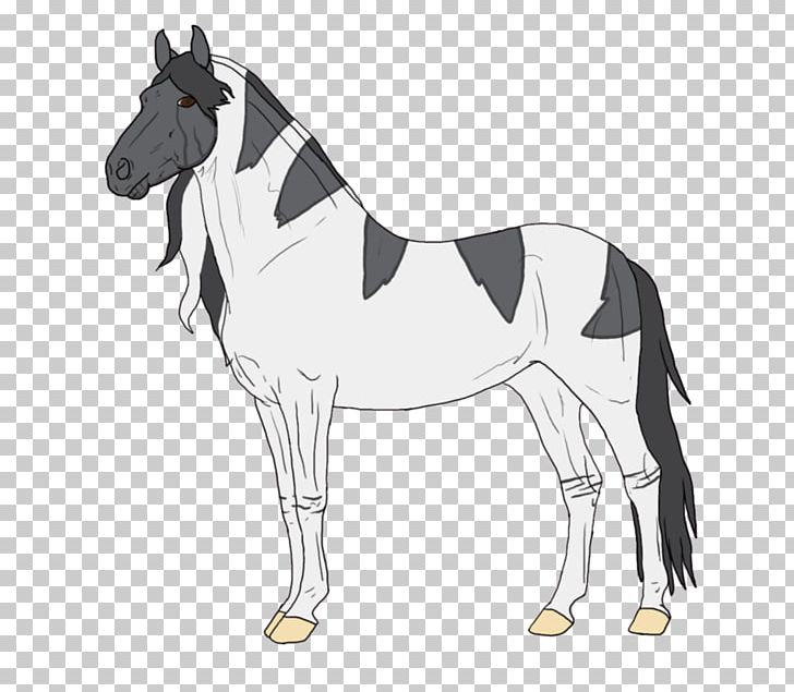 Mule Foal Stallion Mare Colt PNG, Clipart, 9712 Nn, Bridle, Cartoon, Colt, Fictional Character Free PNG Download