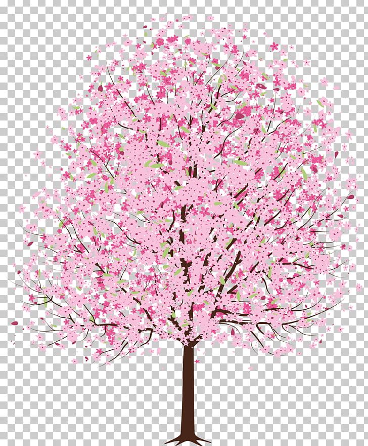 Cherry Blossom Tree PNG, Clipart, Blossom, Branch, Cherry Blossom ...