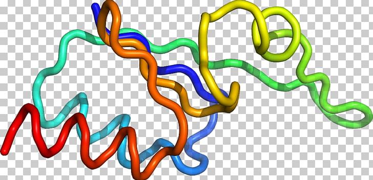 Organism Line Animal PNG, Clipart, Animal, Animal Figure, Area, Art, C 47 Free PNG Download