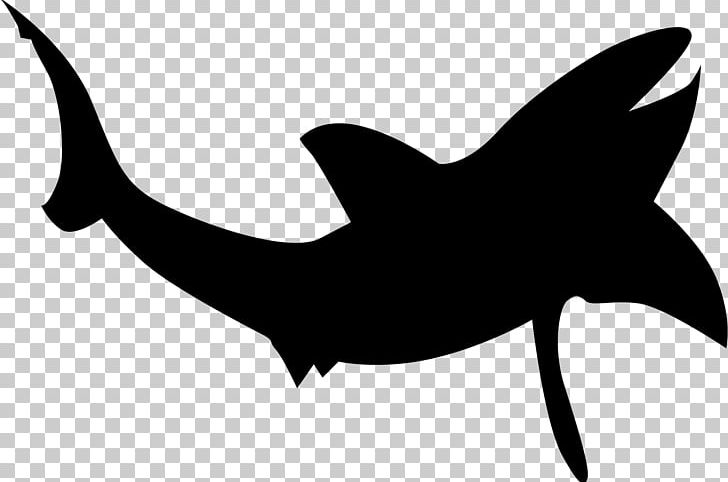 Shark Silhouette PNG, Clipart, Animal, Animals, Beluga Vector, Beluga Whale, Black And White Free PNG Download