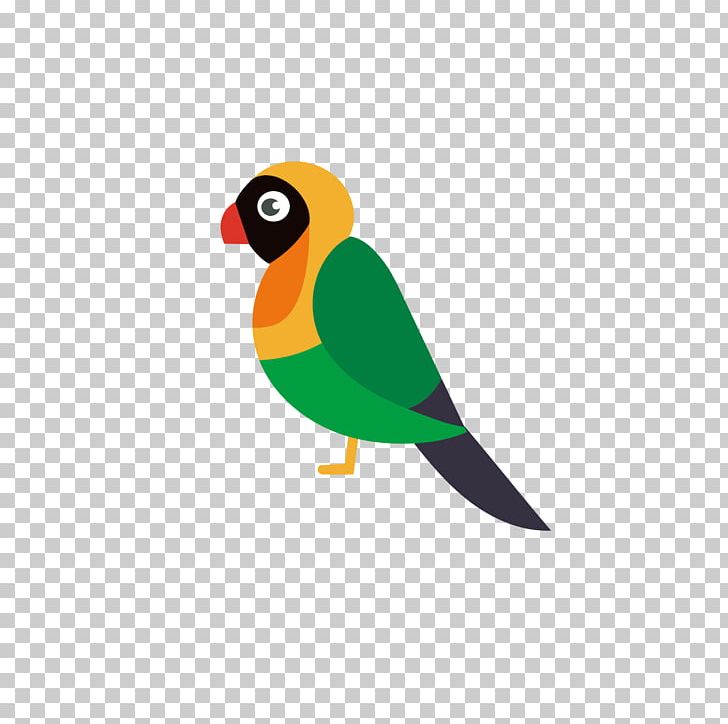 Bird Parrot PNG, Clipart, Adobe Illustrator, Animals, Animation, Beak, Birds Free PNG Download