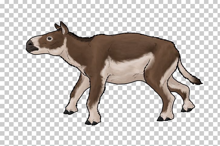 Cattle Eurohippus Dog T-shirt Odd-toed Ungulates PNG, Clipart, Animal, Animal Figure, Animals, Antelope, Cattle Free PNG Download