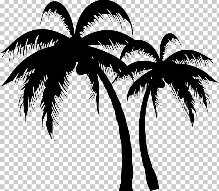 Silhouette Arecaceae Drawing PNG, Clipart, Animals, Arecaceae, Arecales, Black And White, Branch Free PNG Download