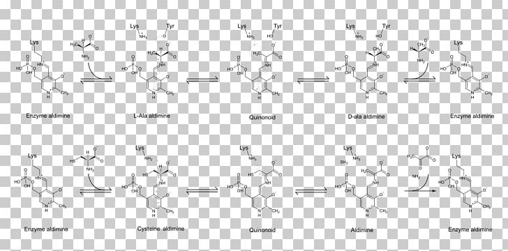 White Point Angle Line Art PNG, Clipart, Acid, Amino, Amino Acid, Angle, Area Free PNG Download