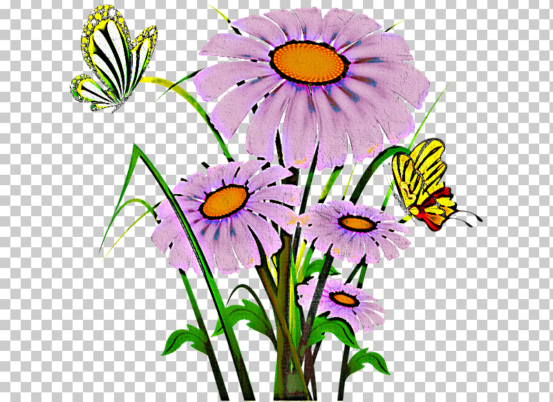 Daisy PNG, Clipart, Aster, Chamomile, Cut Flowers, Daisy, Daisy Family Free PNG Download
