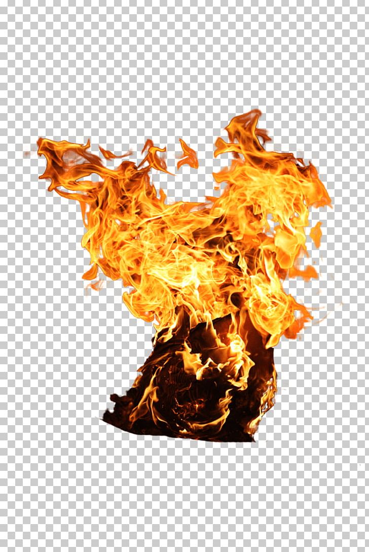 Fire PNG, Clipart, Action, Blue, Clip Art, Combustion, Computer Wallpaper Free PNG Download