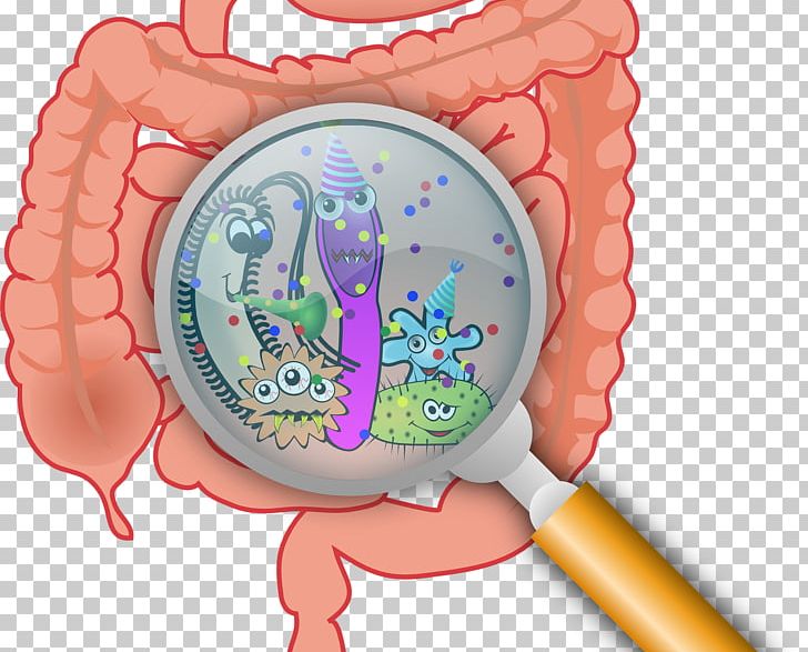 Gut Flora Gastrointestinal Tract Health Microbiota Leaky Gut Syndrome PNG, Clipart, Bacteria, Cholera, Digestion, Disease, Gast Free PNG Download