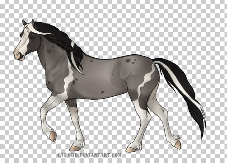 Mane Mustang Foal Stallion Colt PNG, Clipart, Animal Figure, Bridle, Colt, English Riding, Equestrian Free PNG Download