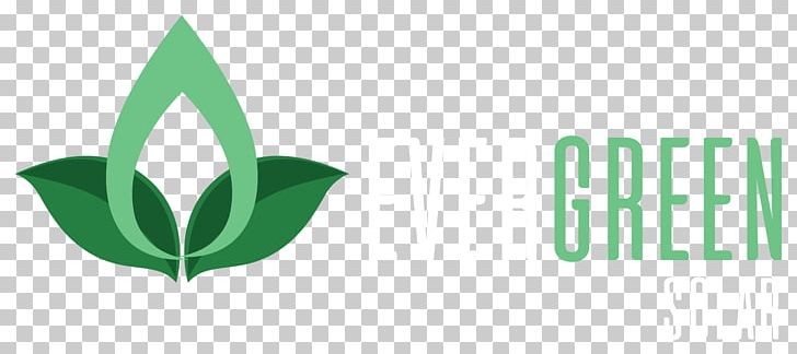 Product Design Logo Brand Green PNG, Clipart, Brand, Computer, Computer Wallpaper, Desktop Wallpaper, Graphic Design Free PNG Download