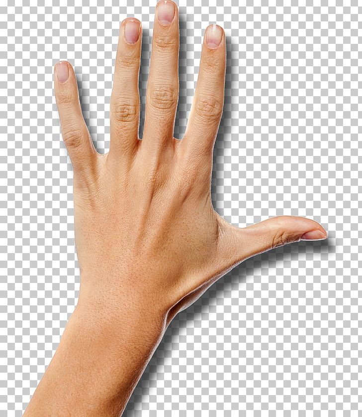 Thumb Hand Wrist Arm Palm PNG, Clipart, Arm, Battle Creek Bombers, Cell, Cell Phone, Finger Free PNG Download