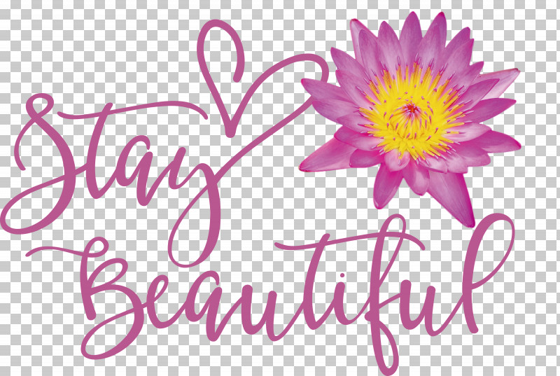 Stay Beautiful Fashion PNG, Clipart, Biology, Chrysanthemum, Cut Flowers, Fashion, Floral Design Free PNG Download