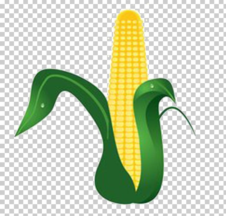 Food Poster Grass PNG, Clipart, Cartoon, Cartoon Corn, Corn, Corn Cartoon, Corn Flakes Free PNG Download