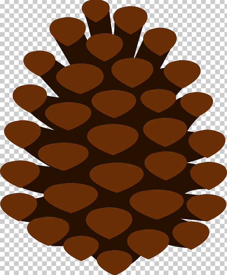 Stone Pine Conifer Cone Tree PNG, Clipart, Brown, Circle, Cone, Conifer Cone, Eastern White Pine Free PNG Download