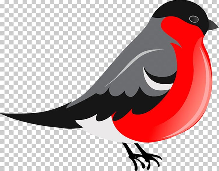 Bird Black Cartoon PNG, Clipart, Animals, Animated Film, Beak, Bird, Birdie Free PNG Download