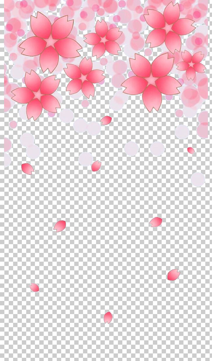 Cherry Blossom Petal Cerasus PNG, Clipart, Blossom, Blossoms, Cerasus, Cherry, Cherry Blossom Free PNG Download