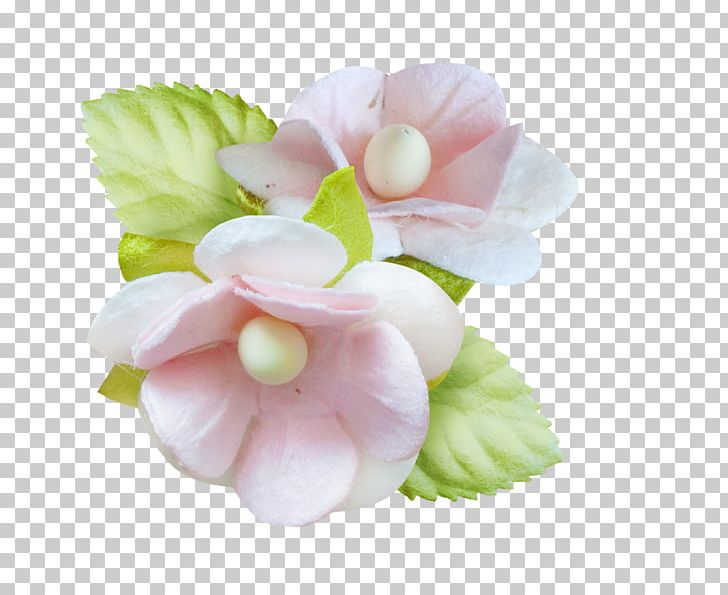 Cut Flowers PNG, Clipart, Baby, Baby Shawer, Baby Shower, Blossom, Cut Flowers Free PNG Download