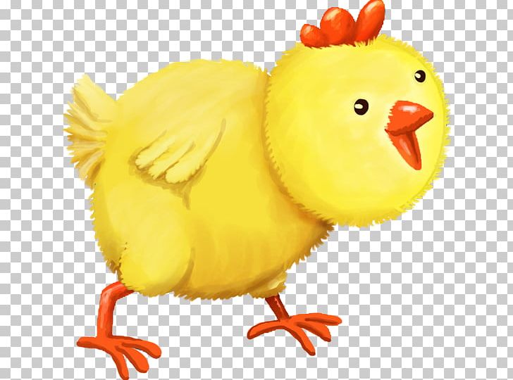 Rooster Beak Chicken As Food Animal PNG, Clipart, Animal, Animal Figure, Beak, Bird, Chicken Free PNG Download