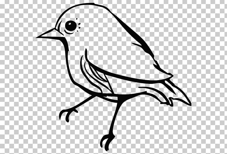 Bird Finches Parrot Beak PNG, Clipart, Animals, Artwork, Beak, Bird, Black And White Free PNG Download