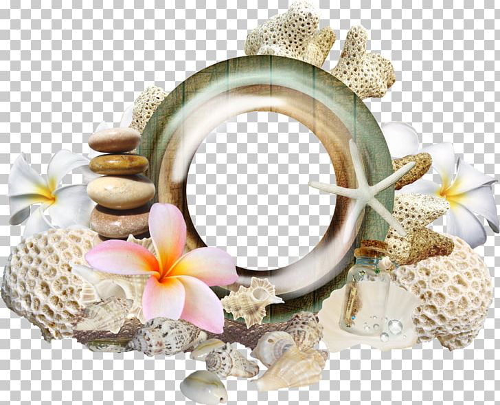 Photography Encapsulated PostScript PNG, Clipart, Beach, Clip Art, Computer Cluster, Coral, Encapsulated Postscript Free PNG Download