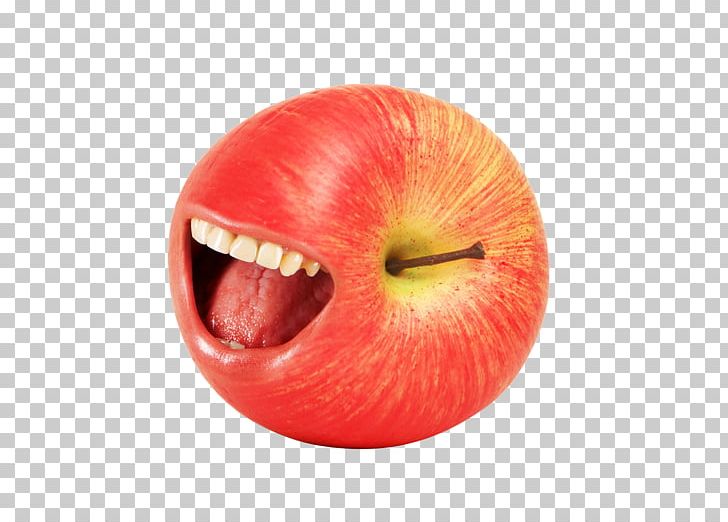 Apple Mouth Stock Photography Portrait PNG, Clipart, Apple Fruit, Apple Logo, Apple Tree, Basket Of Apples, Can Stock Photo Free PNG Download
