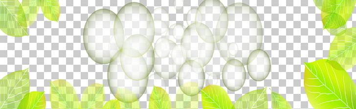 Green PNG, Clipart, Banner, Banner Material, Computer Wallpaper, Decoration, Decorative Patterns Free PNG Download