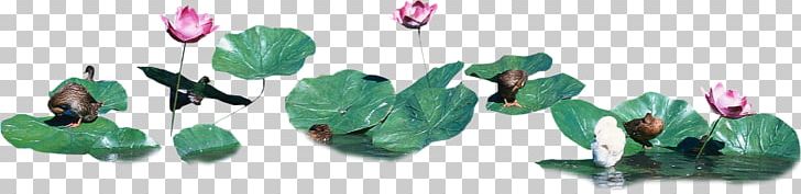 Leaf Nelumbo Nucifera PNG, Clipart, Adobe Illustrator, Animal Figure, Autumn Leaf, Body Jewelry, Bud Free PNG Download