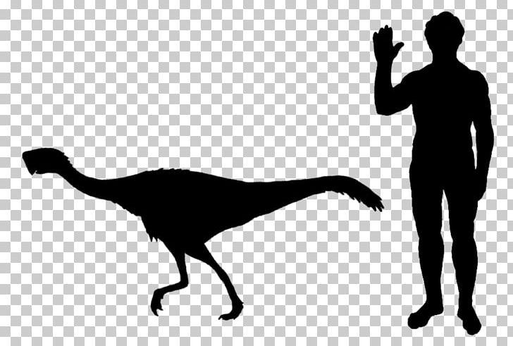 Staurikosaurus Thescelosaurus Velociraptor Microraptor Scansoriopteryx PNG, Clipart, Beak, Beringian Wolf, Bird, Black And White, Cretaceous Free PNG Download