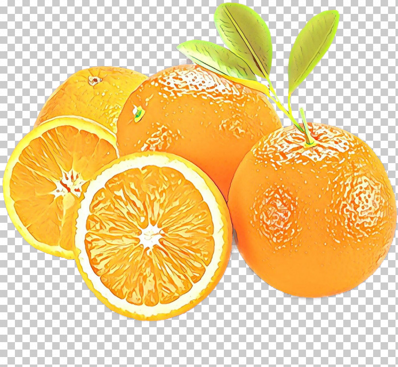 Orange PNG, Clipart, Bitter Orange, Citrus, Clementine, Fruit, Mandarin Orange Free PNG Download