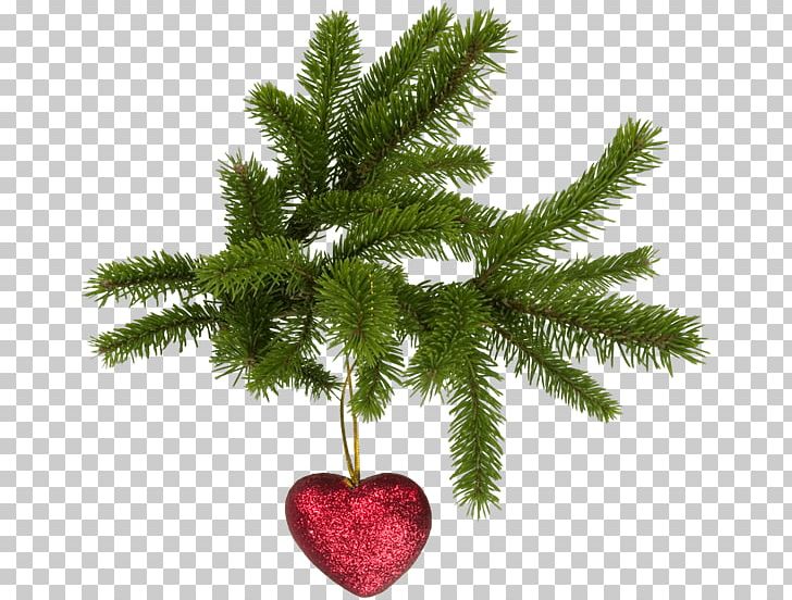 Christmas Tree Fir PNG, Clipart, Artificial Christmas Tree, Branch, Candle, Christmas Decoration, Christmas Lights Free PNG Download