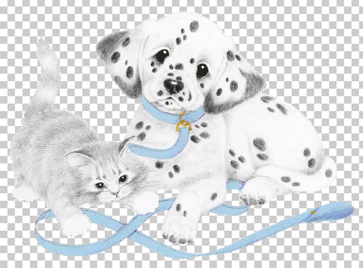 Dalmatian Dog Puppy Kitten Dog Breed Cat PNG, Clipart, Animals, Carnivoran, Cat, Cat Like Mammal, Chaton Free PNG Download