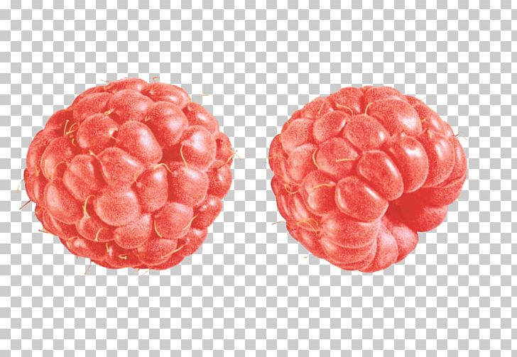 Raspberry PNG, Clipart, Berry, Brain, Buckle, Clip Art, Computer Icons Free PNG Download
