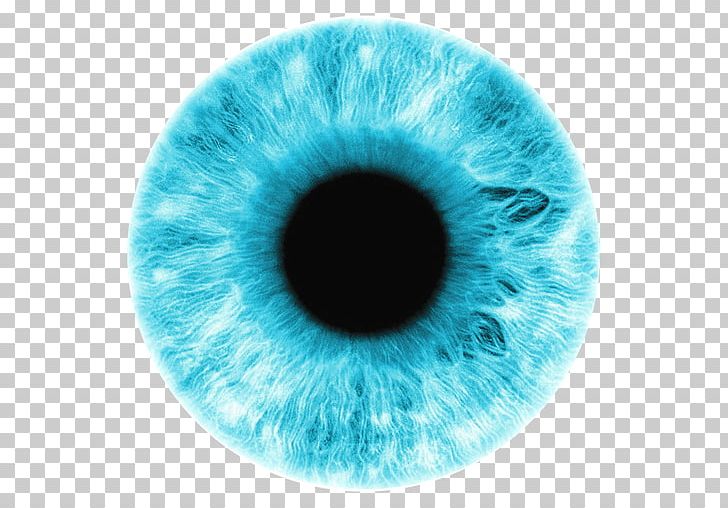 Iris Eye Color Blue PNG, Clipart, Blue, Circle, Closeup, Color, Computer Icons Free PNG Download