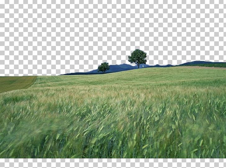 Natural Landscape Nature Landscape Photography PNG, Clipart, 1080p, Agriculture, Crop, Energy, Farm Free PNG Download