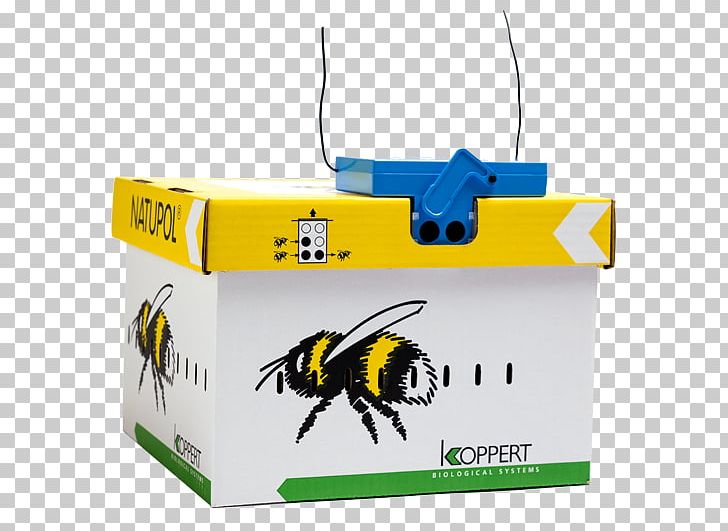 Technology PNG, Clipart, Bee, Electronics, Insect, Invertebrate, Membrane Winged Insect Free PNG Download